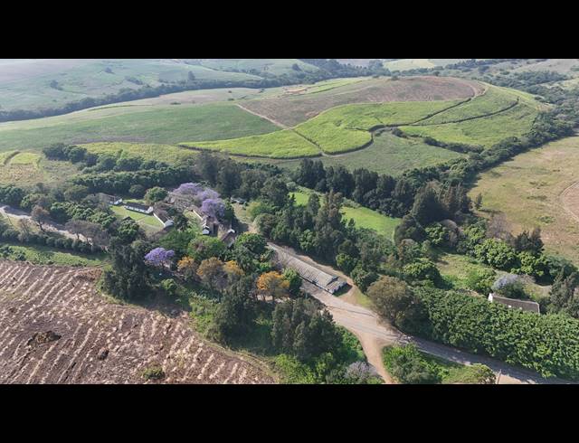 104,000M² FARM FOR SALE IN BALLITO RURAL